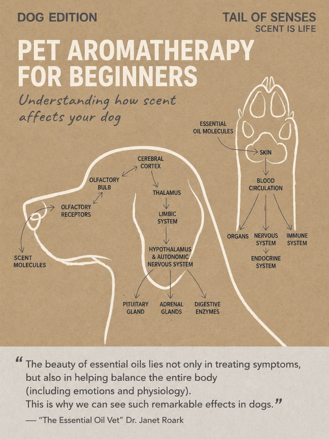 PET AROMATHERAPY for DOGS : A Simple Beginner Guide