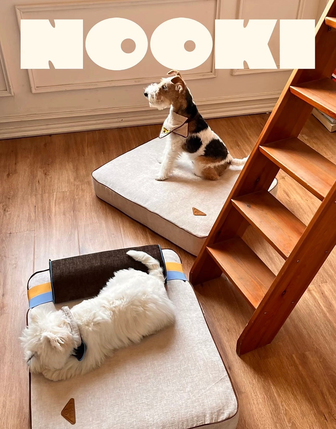 The Sleep Foundation: A Comparative Journal on Proactive Canine Orthopedic Care
