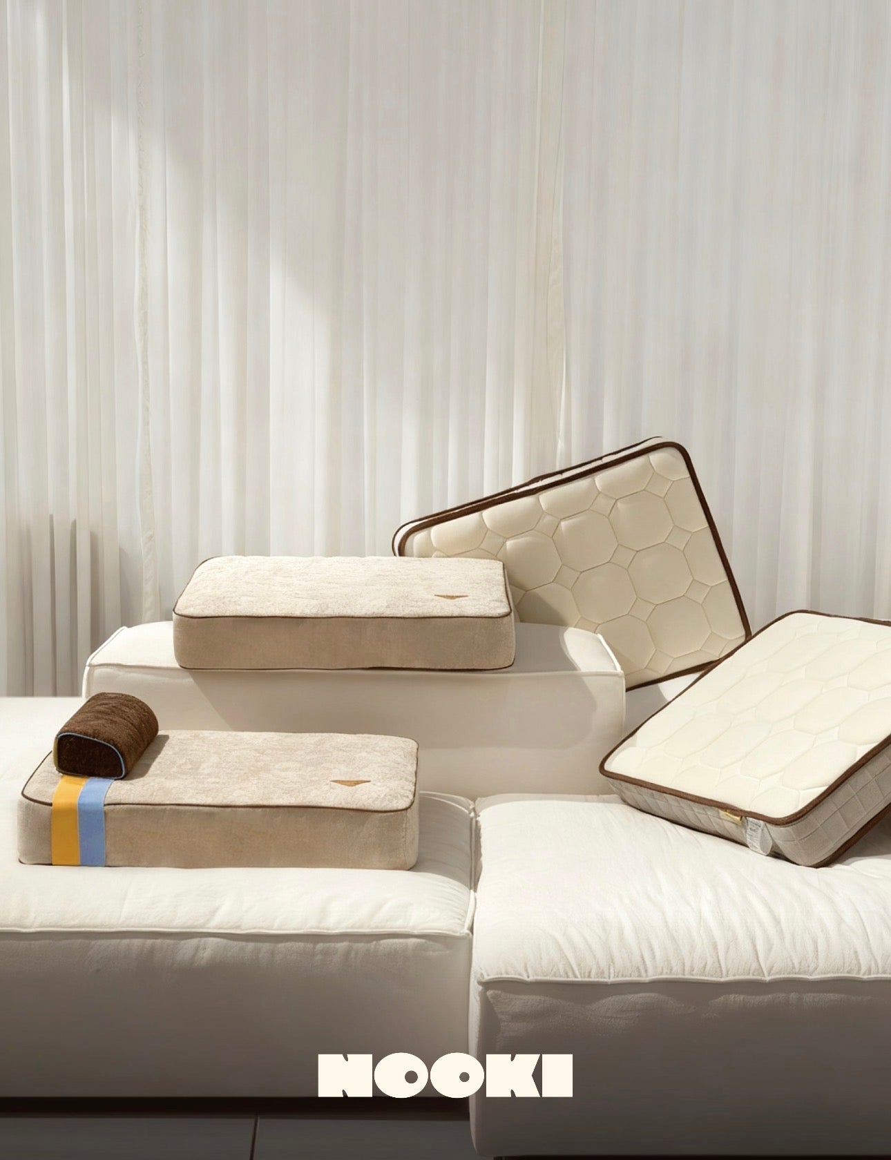 The Ultimate Dog Bed Showdown: Budget Cushions vs. Luxury Foam vs. Engineered Orthopaedic Support