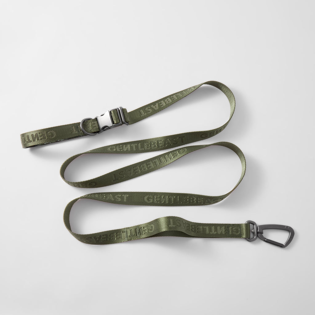 MIDNIGHT WALKER | FREEHAND LEASH