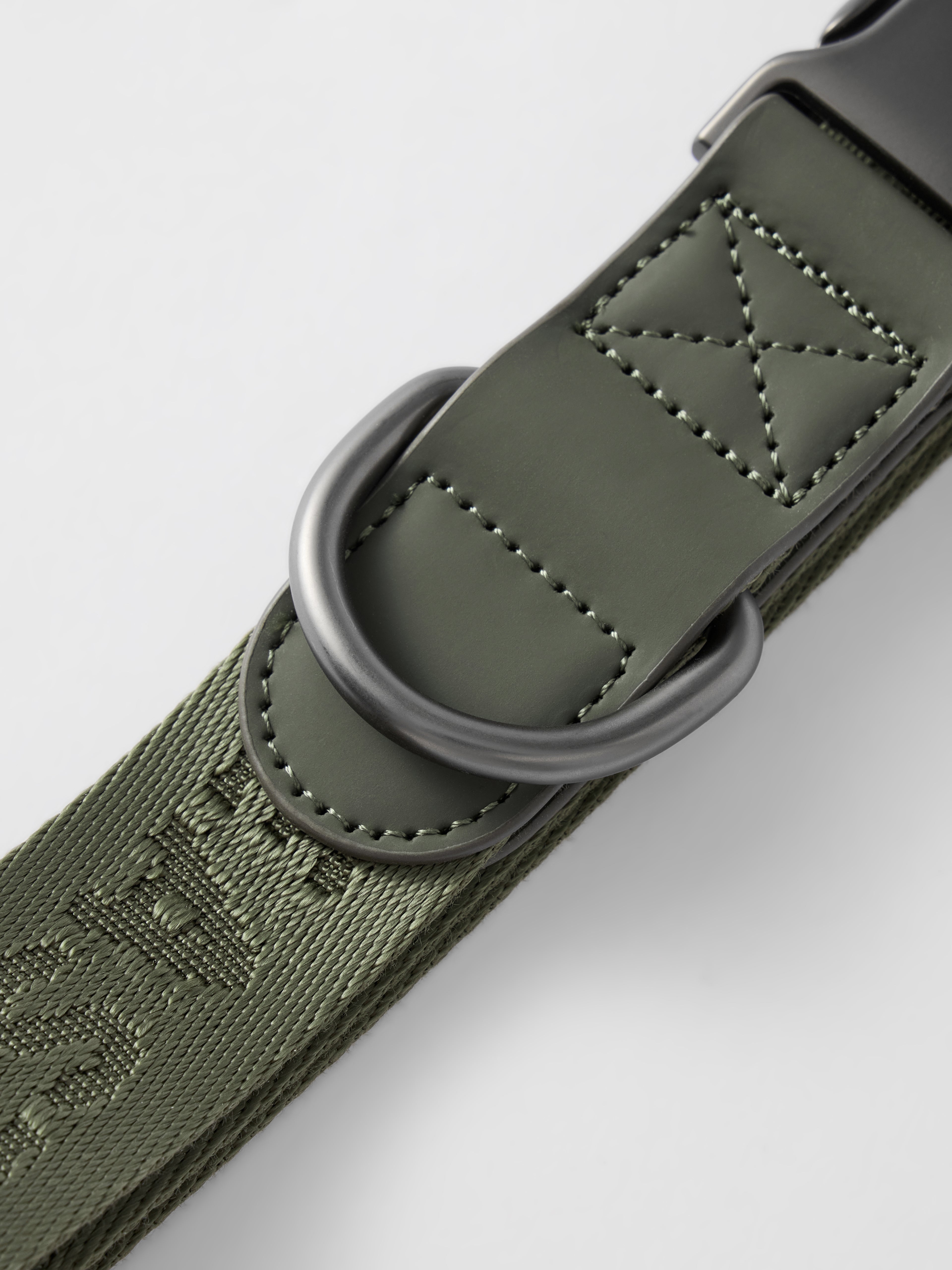 MIDNIGHT WALKER | COLLAR