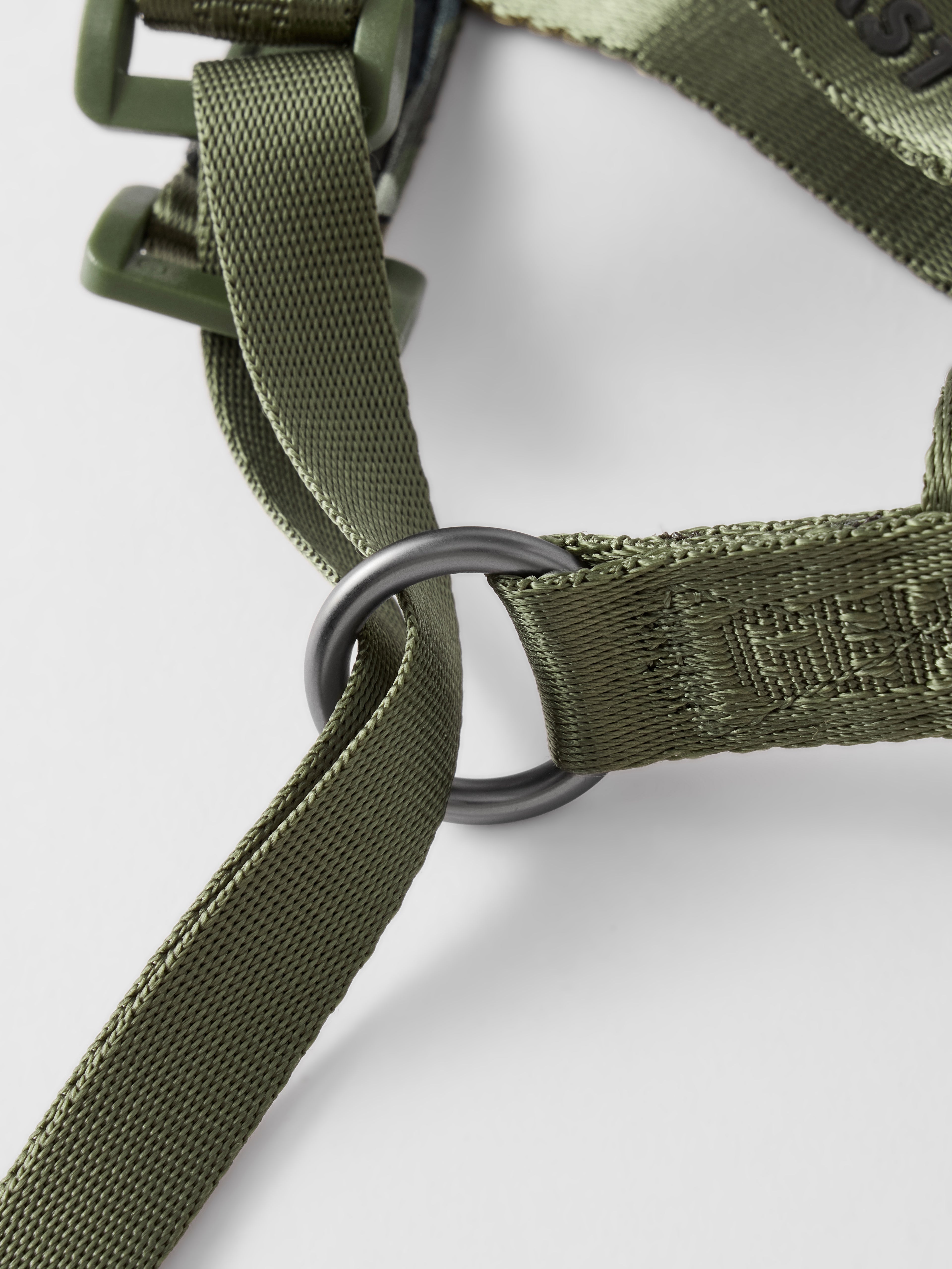 MIDNIGHT WALKER | HEAD COLLAR