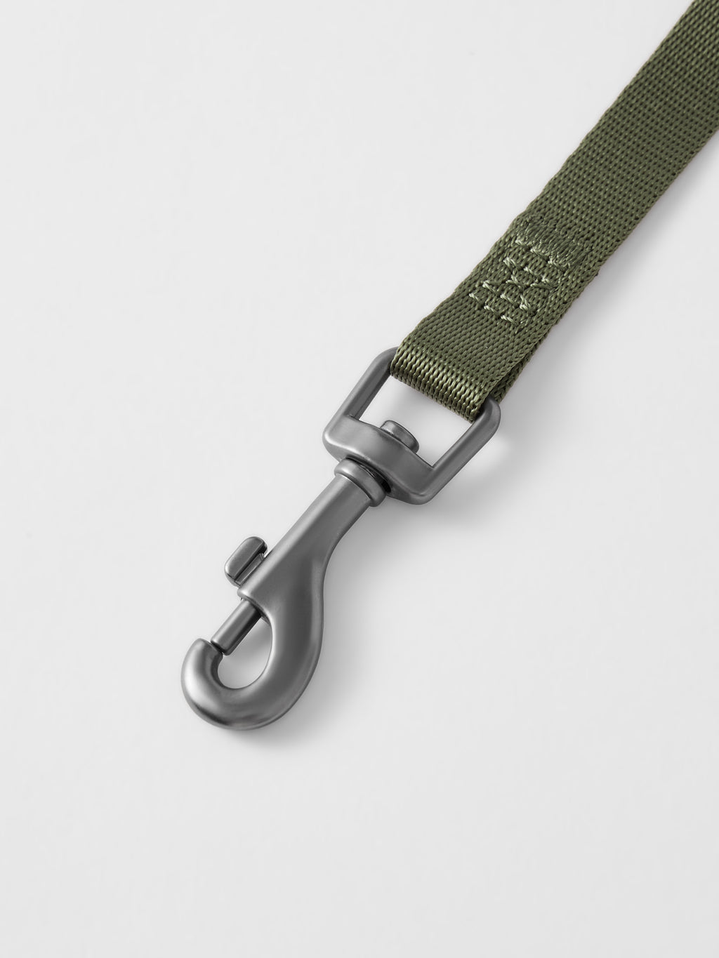 MIDNIGHT WALKER | HEAD COLLAR