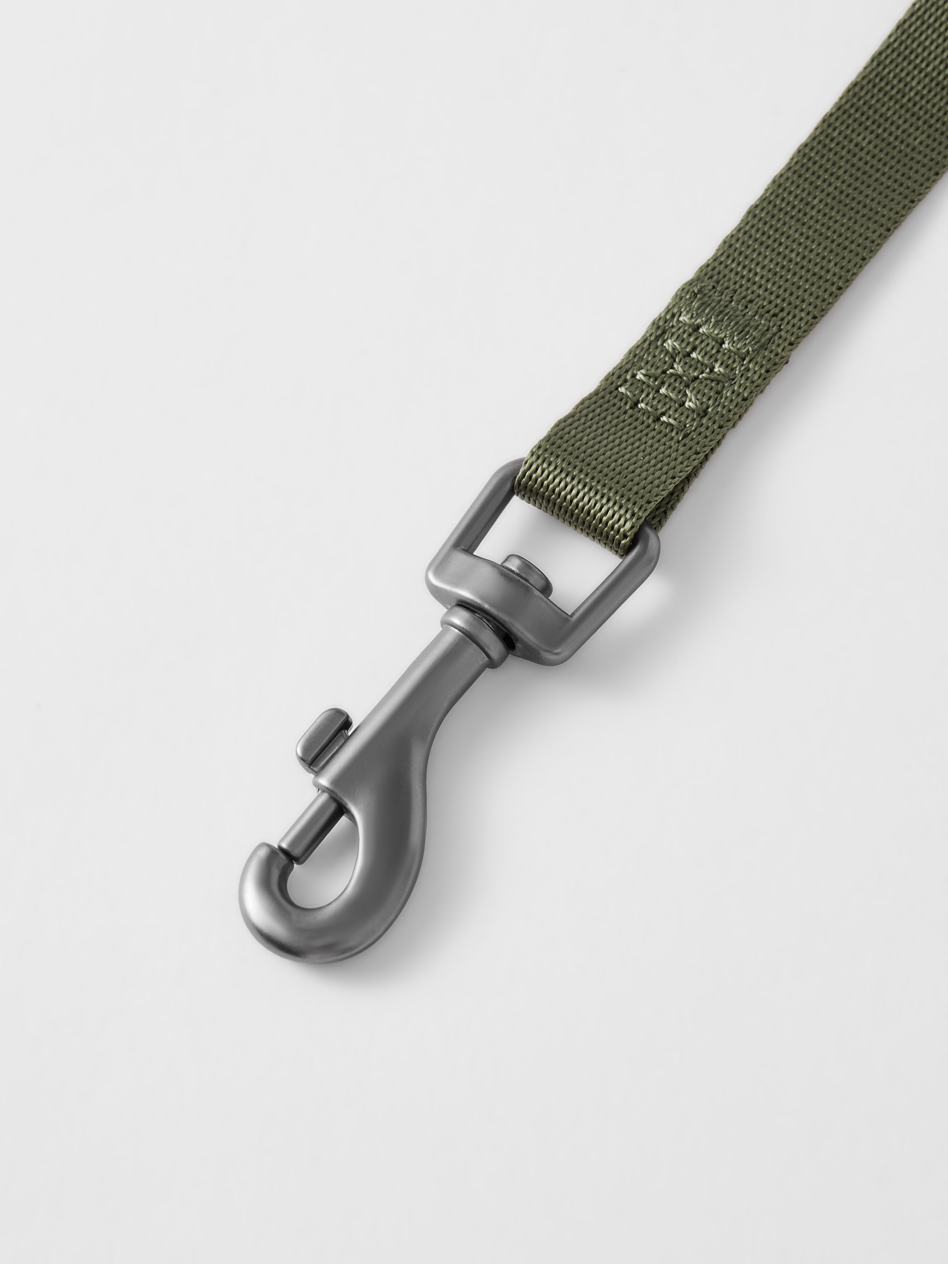 MIDNIGHT WALKER | HEAD COLLAR