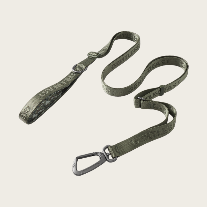 MIDNIGHT WALKER| LEASH