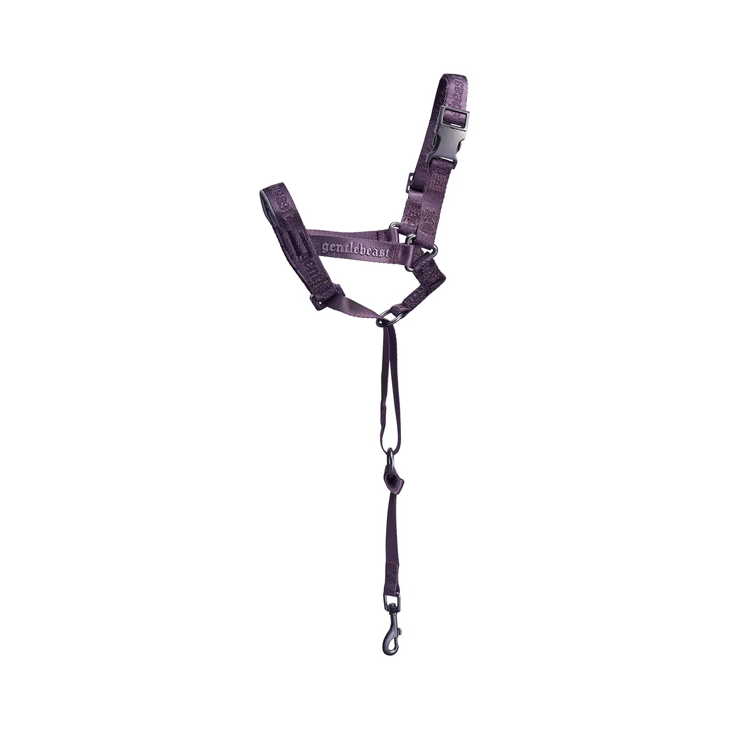 MIDNIGHT WALKER | HEAD COLLAR