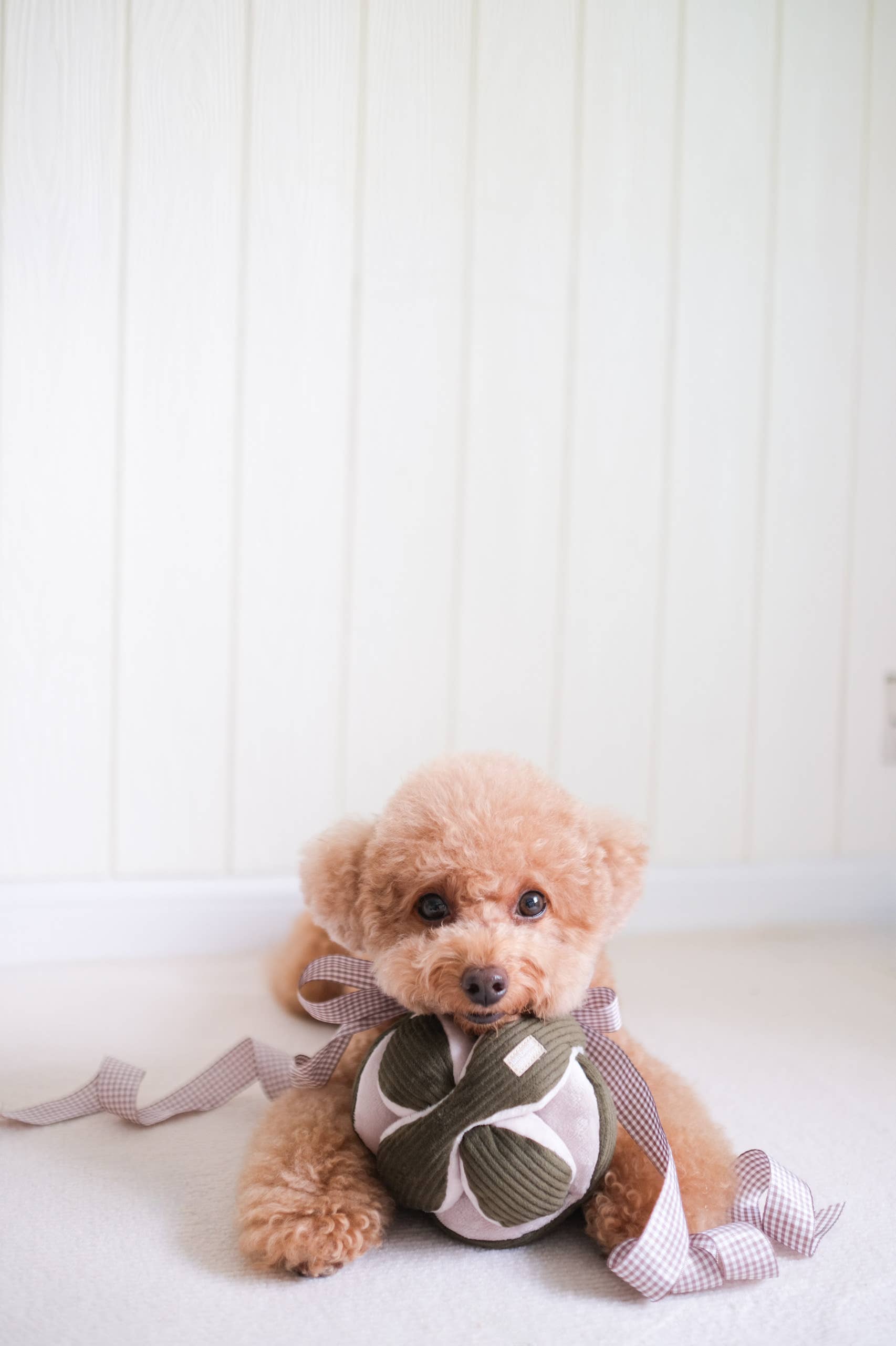 MONTI* // ENRICHMENT DOG TOY // SNUFFLE TOY // 3 Color*Best*