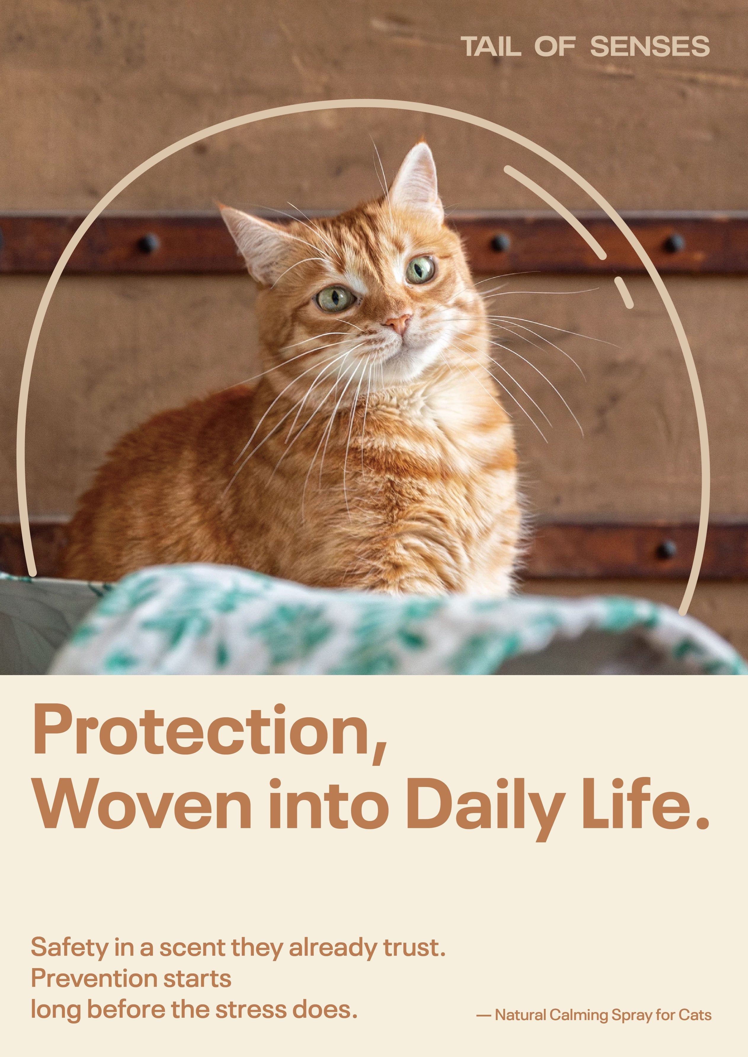 Natural Calming Spray for CATS