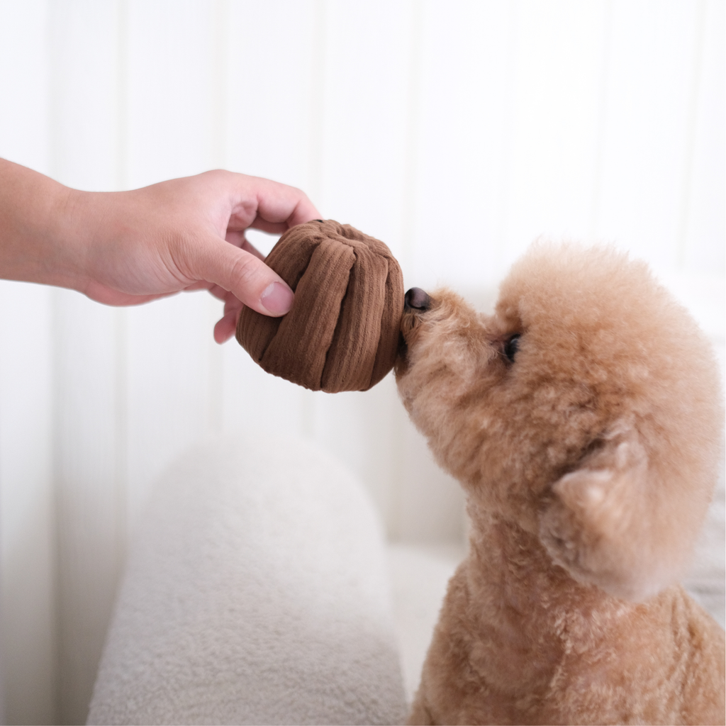 CANELE // ENRICHMENT DOG TOY // Squeaky + Snuffle