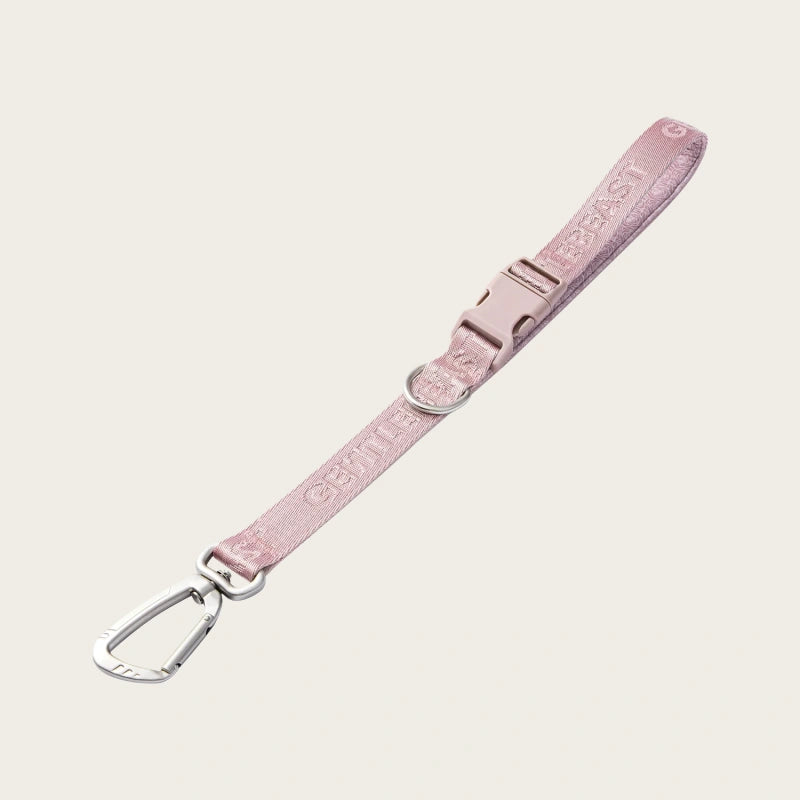 DAY-LIGHT | SHORT LEASH