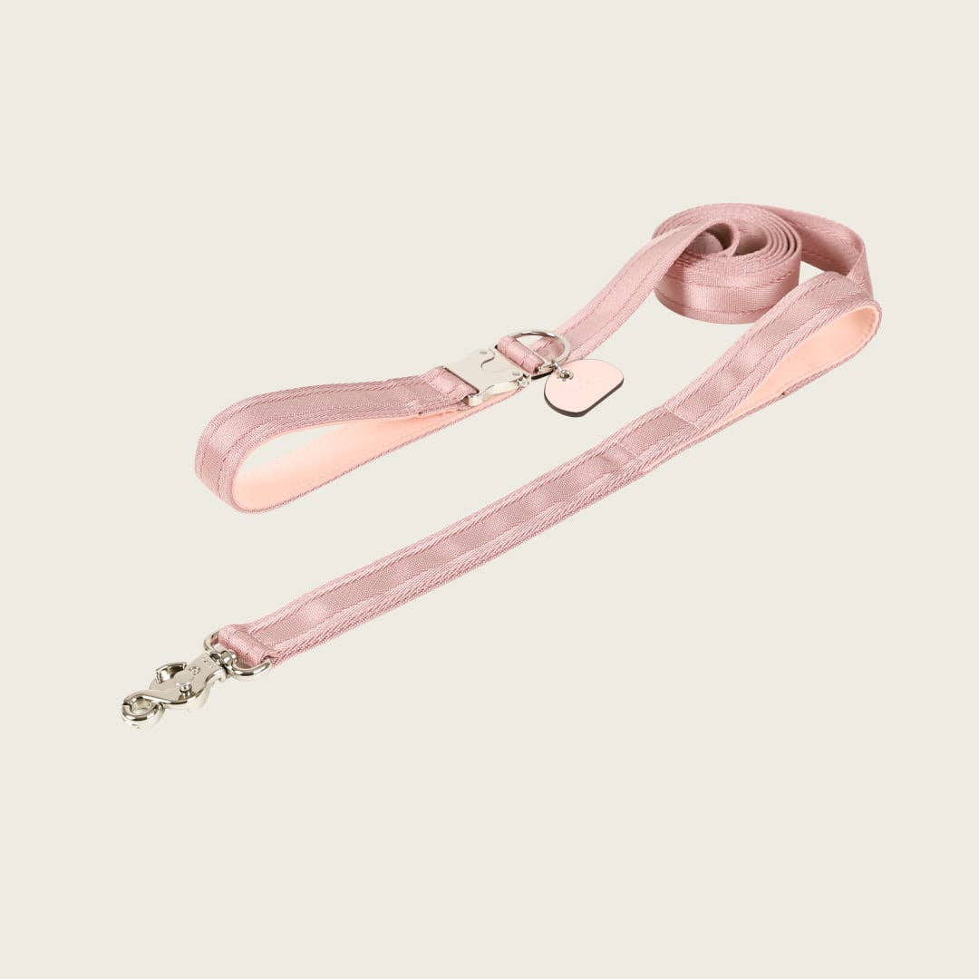 Saddle Hands-free Leash