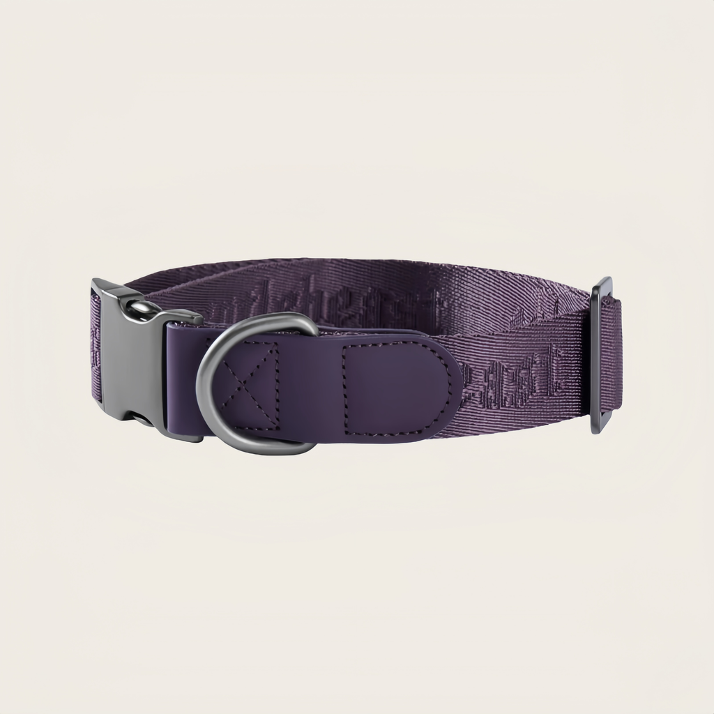 MIDNIGHT WALKER | COLLAR