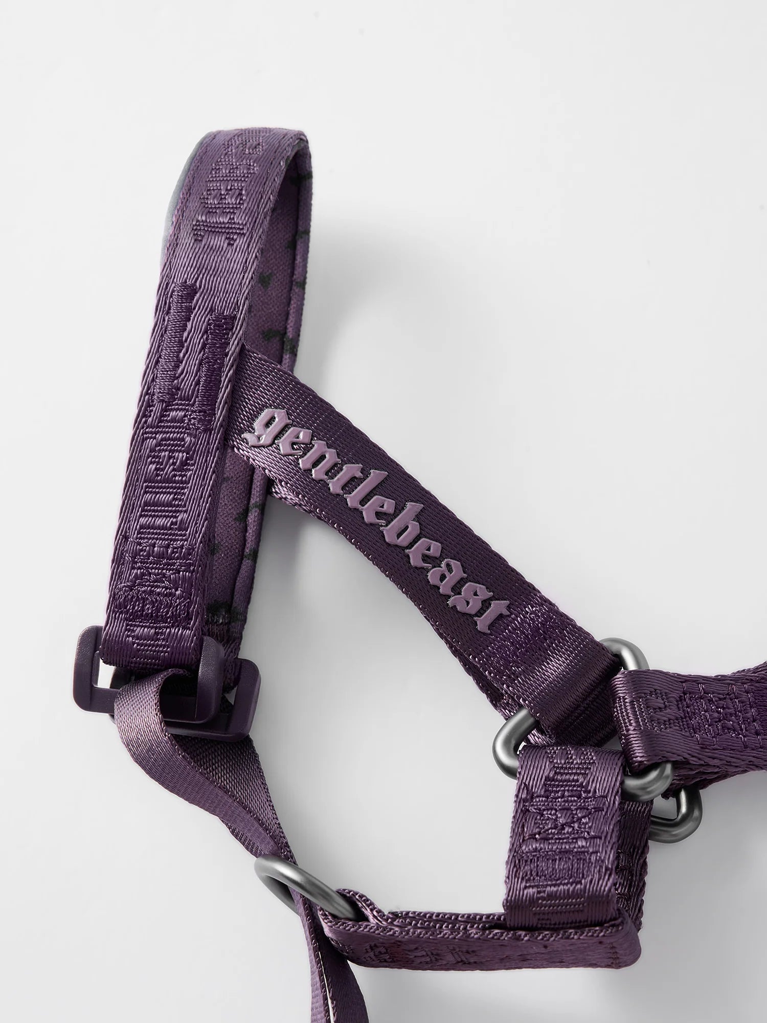 MIDNIGHT WALKER | HEAD COLLAR