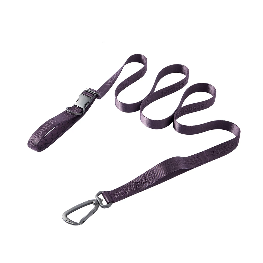 MIDNIGHT WALKER | FREEHAND LEASH