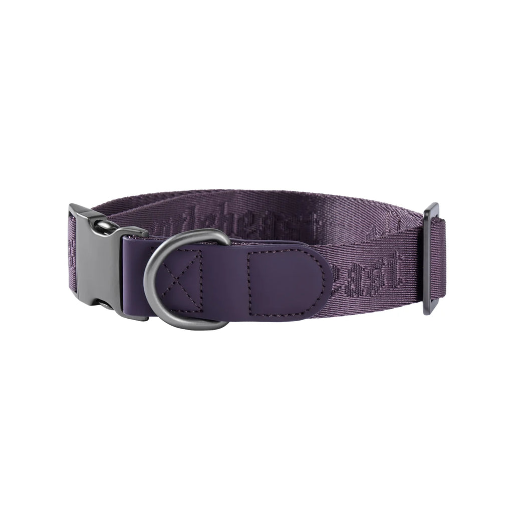 MIDNIGHT WALKER | COLLAR