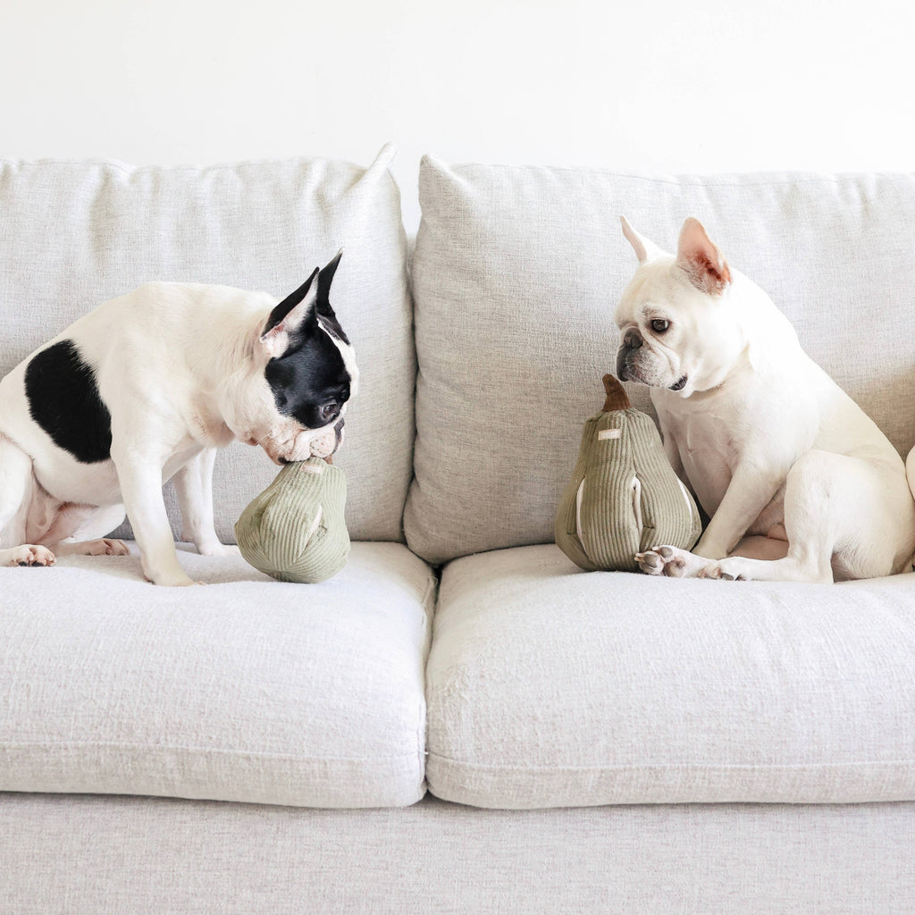 BUTTERNUT // ENRICHMENT DOG TOY // SNUFFLE