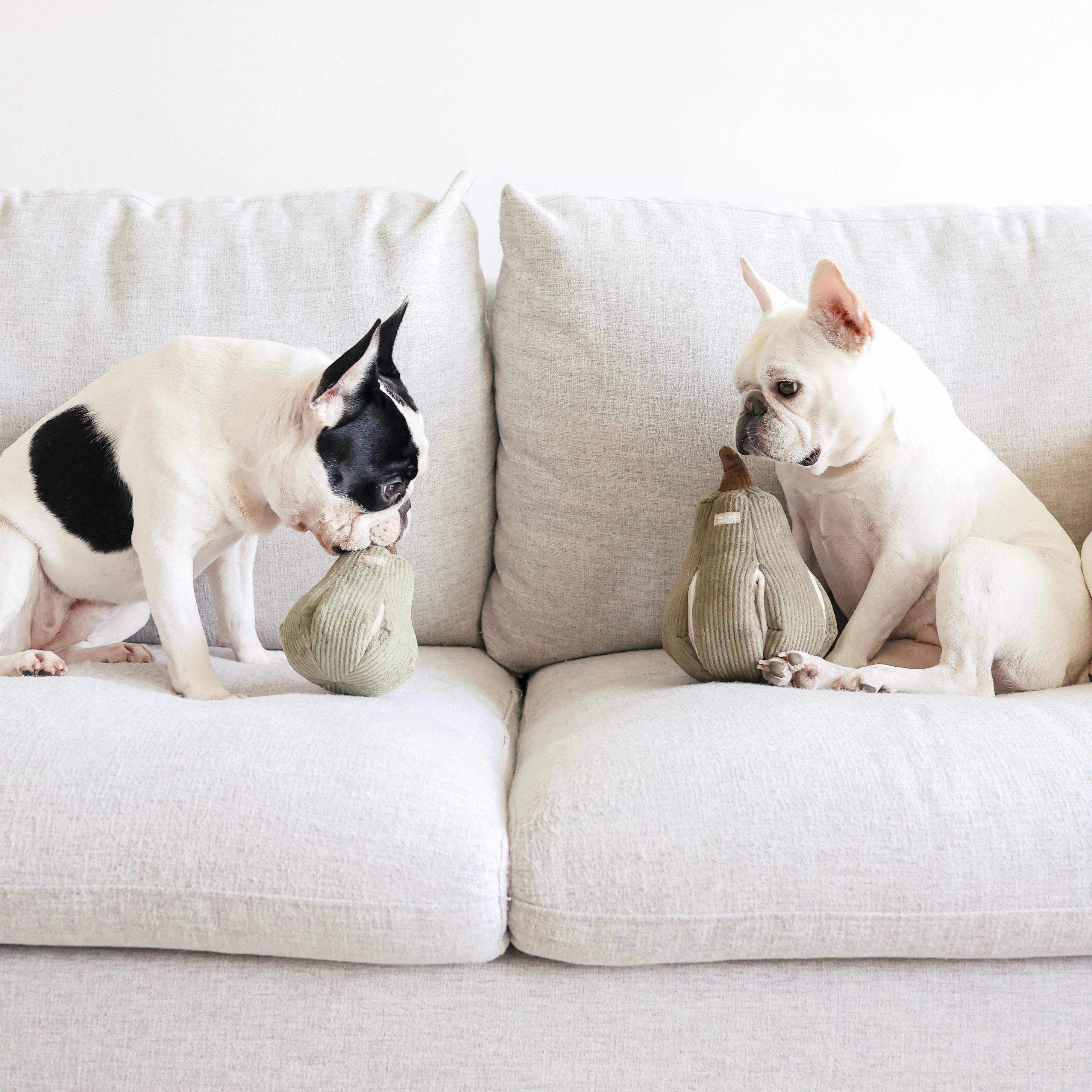 BUTTERNUT // ENRICHMENT DOG TOY // SNUFFLE