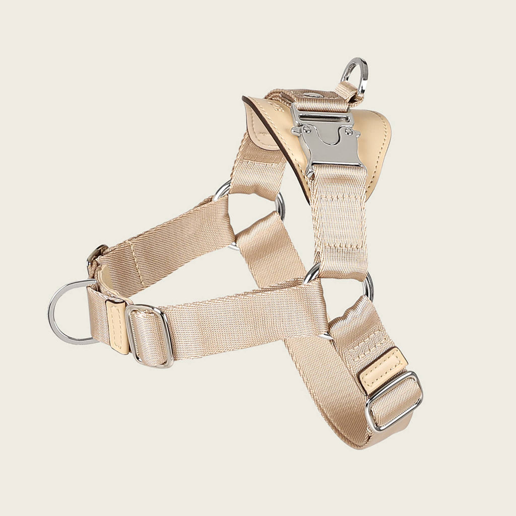 Horsebit Harness