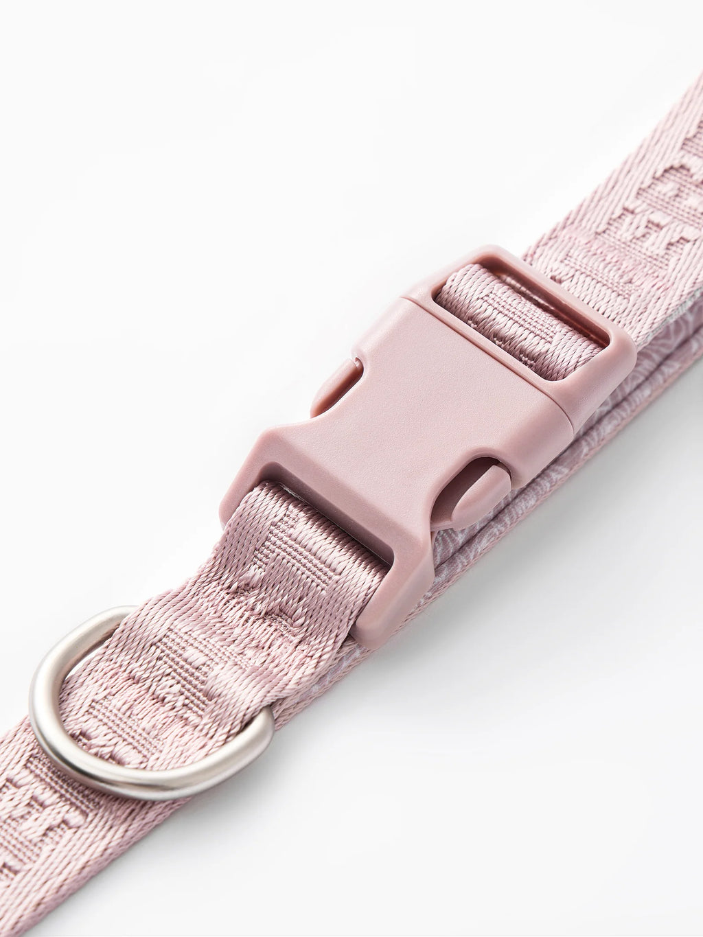 DAY-LIGHT | SHORT LEASH