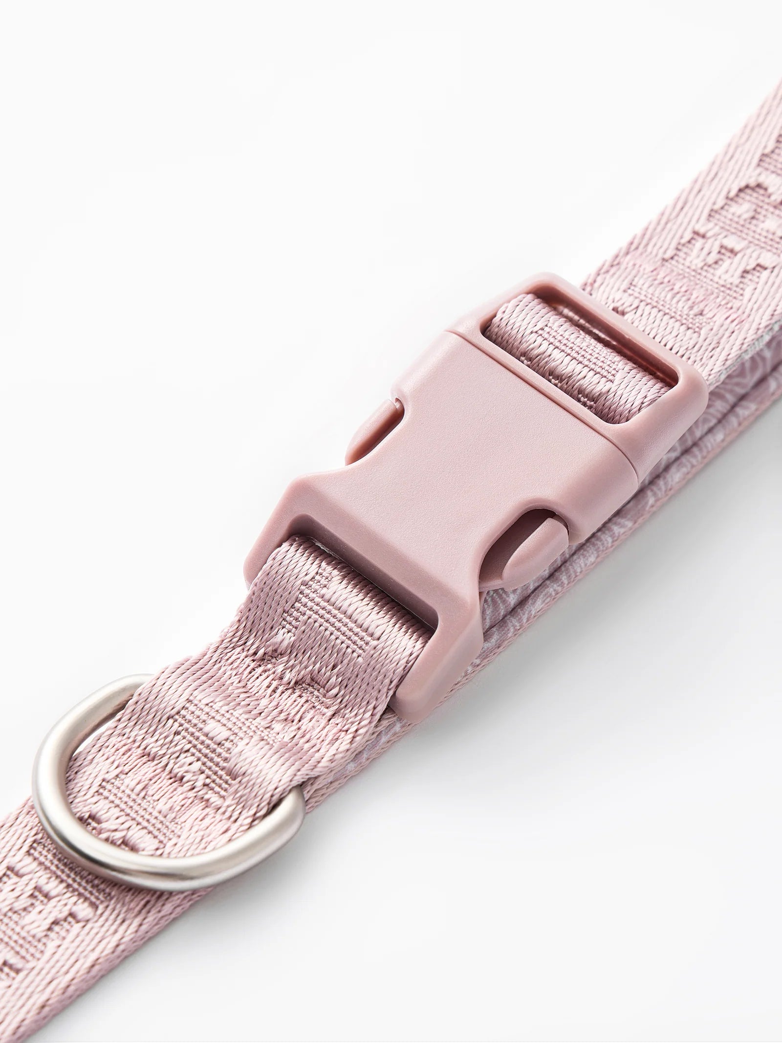 DAY-LIGHT | SHORT LEASH