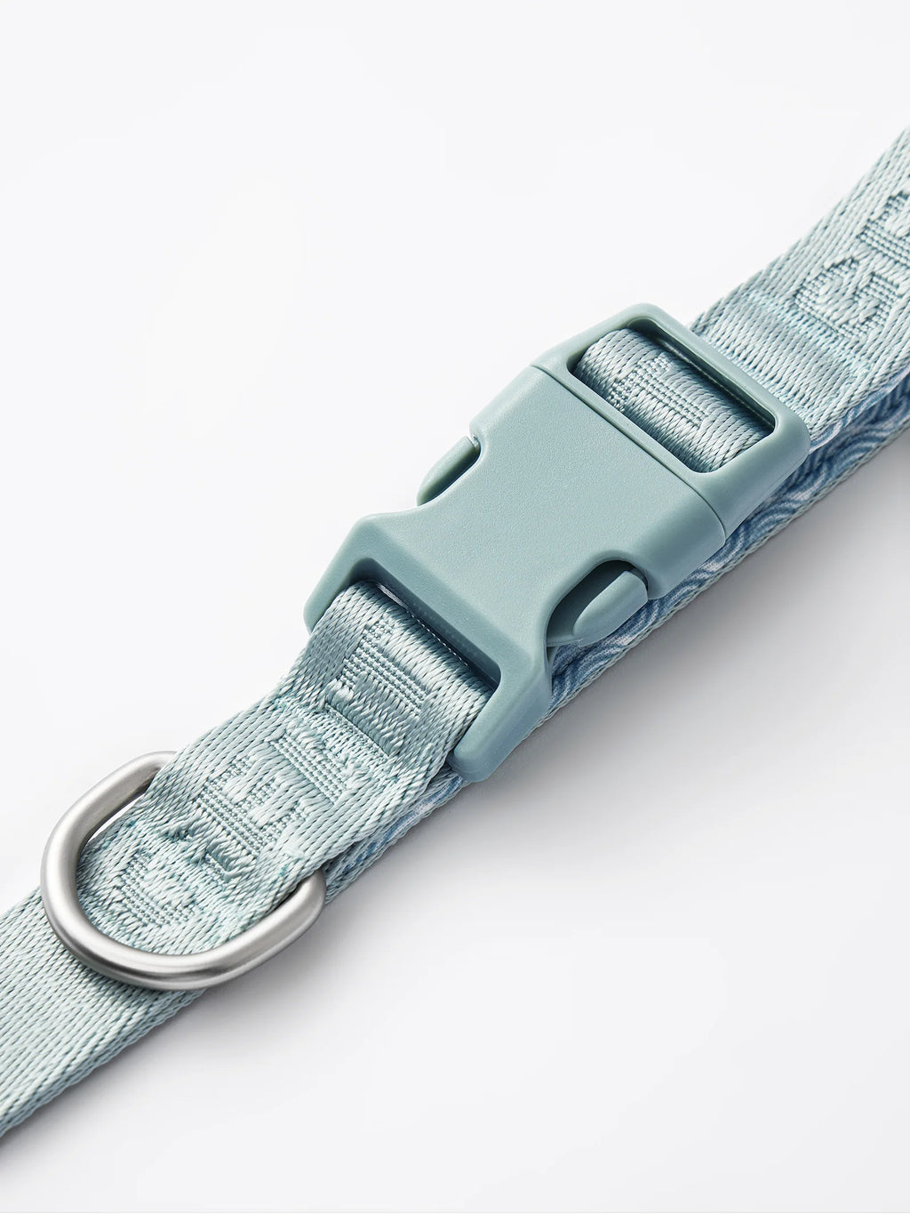 DAY-LIGHT | SHORT LEASH