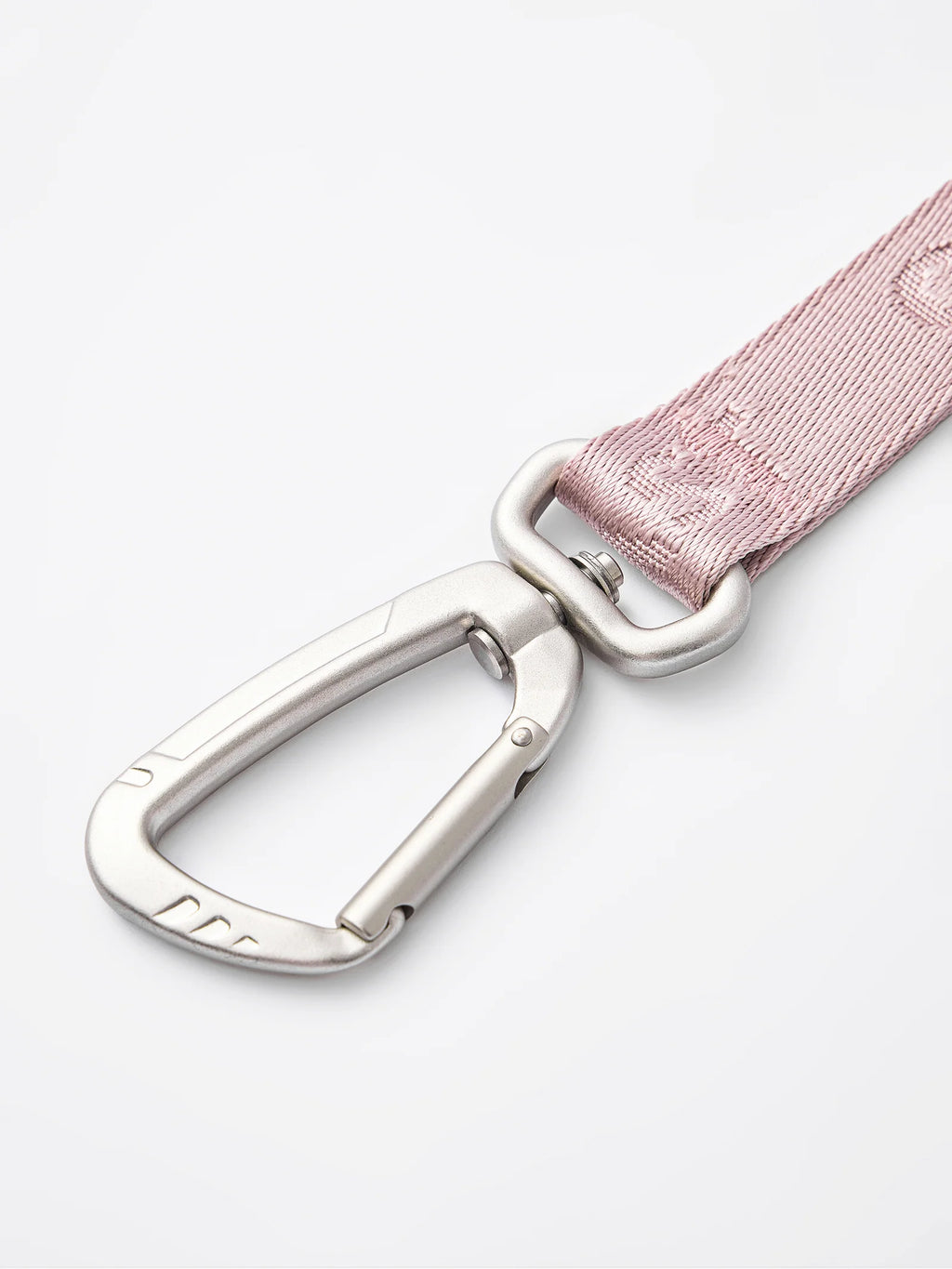 DAY-LIGHT | SHORT LEASH