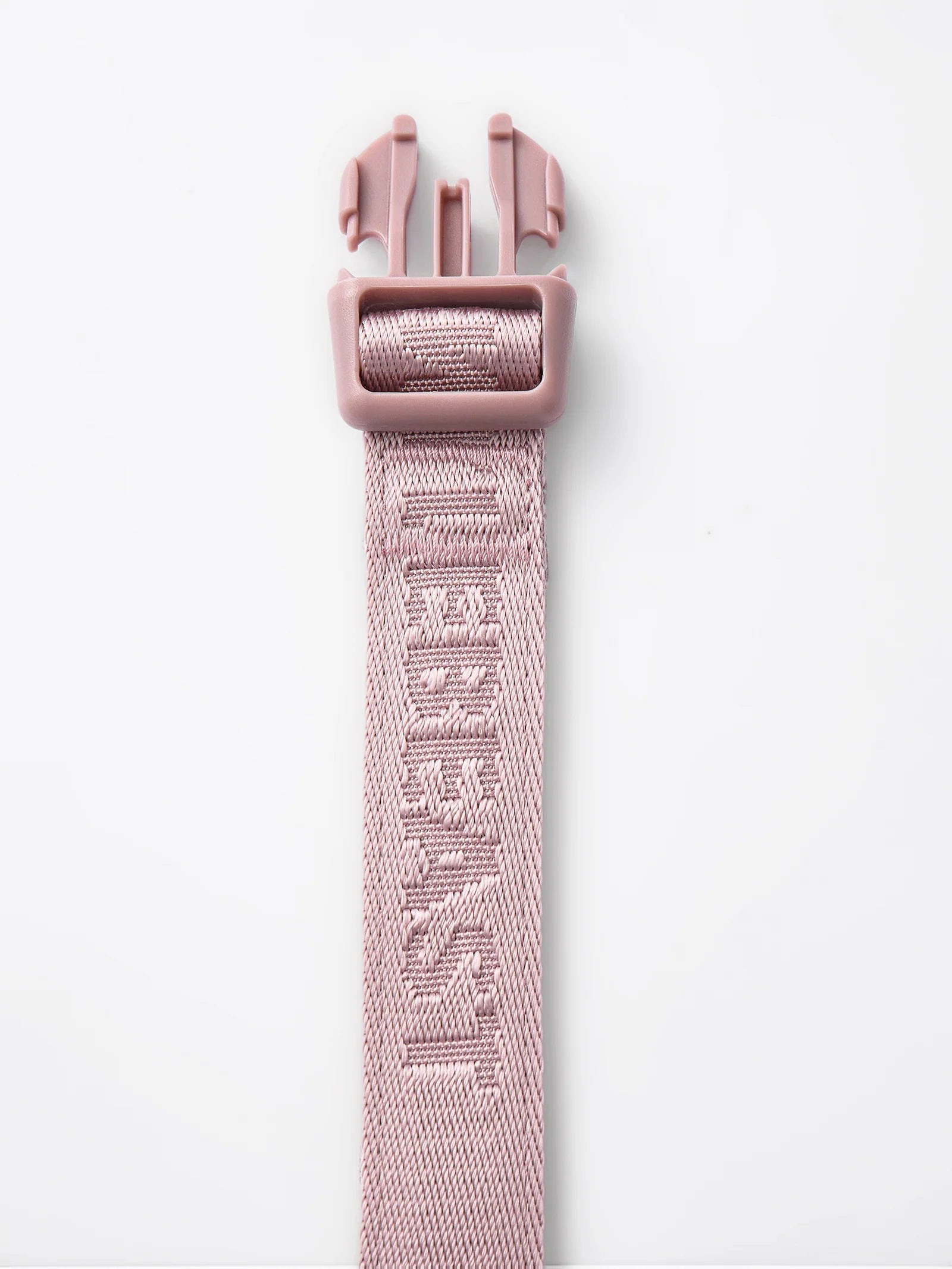 DAY-LIGHT | SHORT LEASH