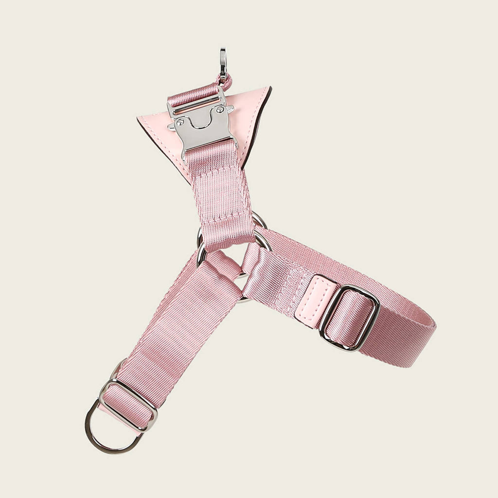 Horsebit Harness