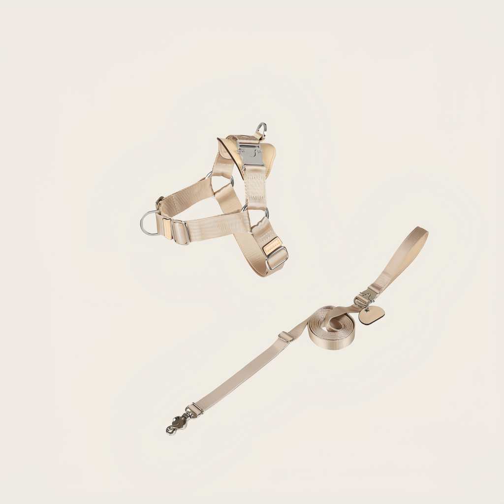 HOZI | Walking Set | Leash Size S