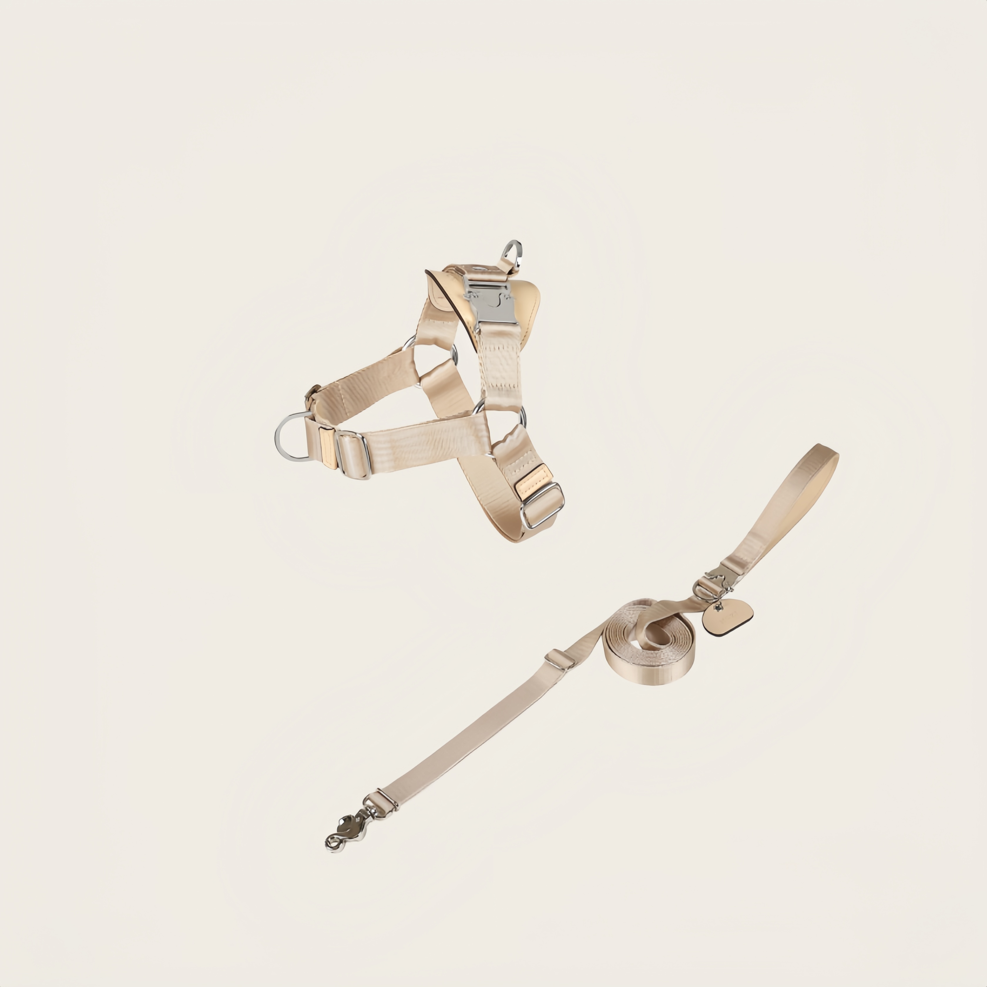 HOZI | Walking Set | Leash Size S