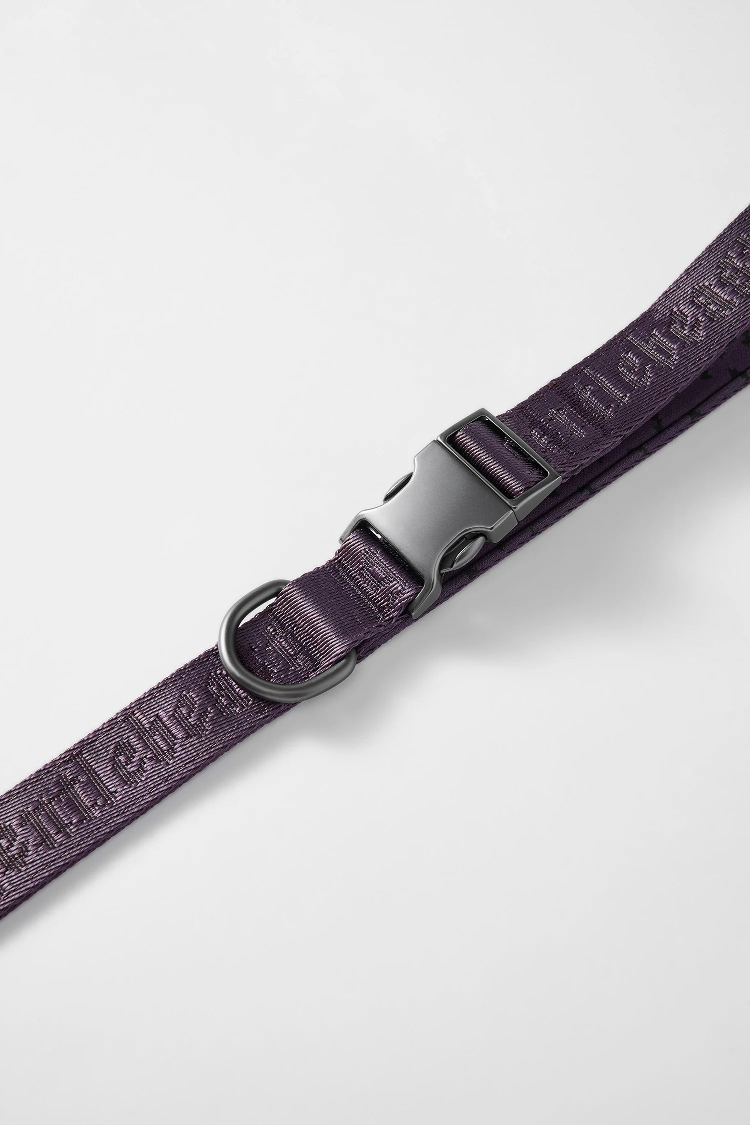 MIDNIGHT WALKER | SHORT LEASH