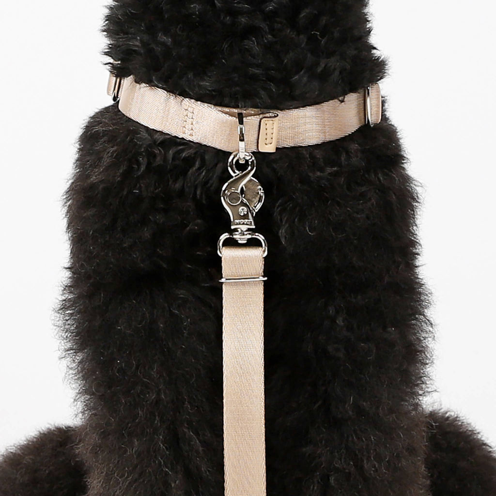 Horsebit Harness