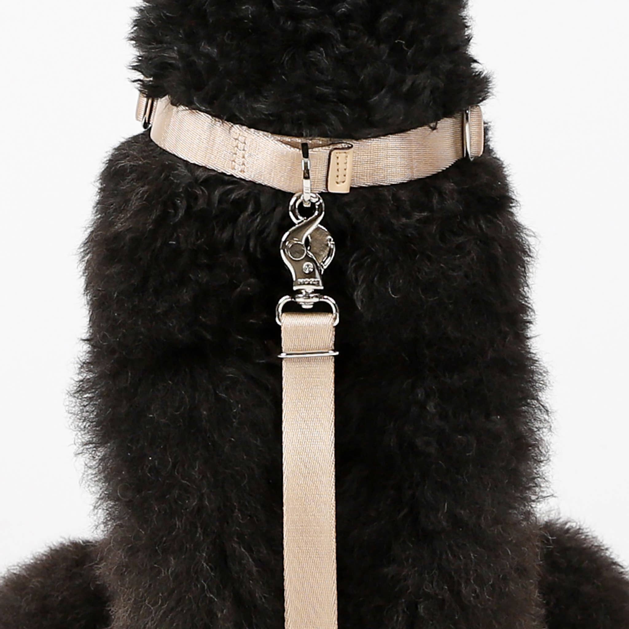 Horsebit Harness