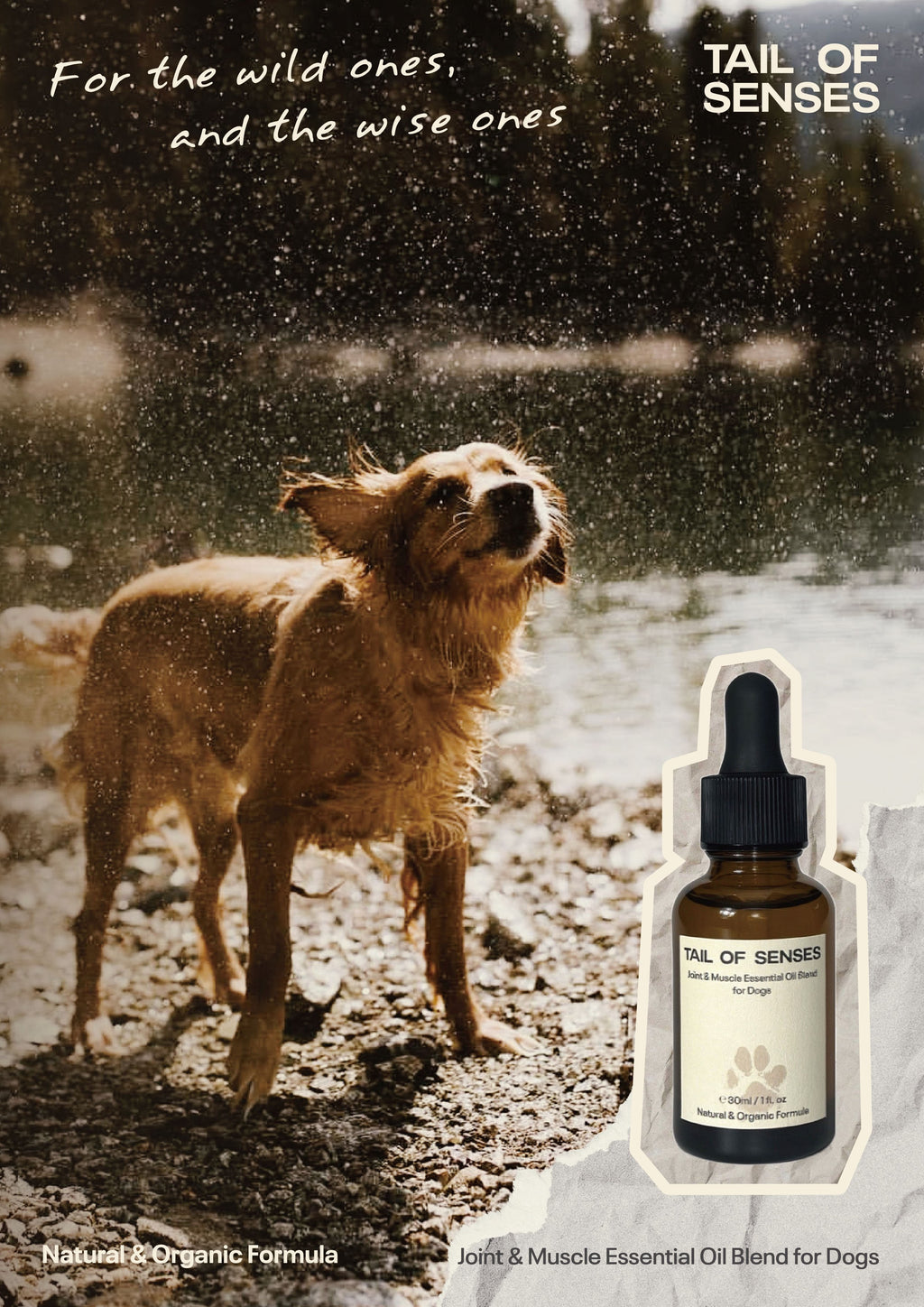 Joint & Muscle Essential Oil Blend for Dogs