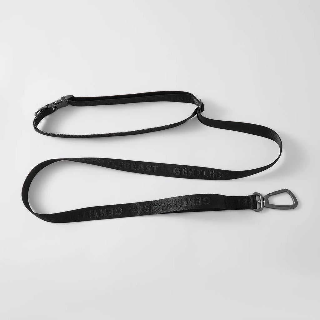 MIDNIGHT WALKER | FREEHAND LEASH