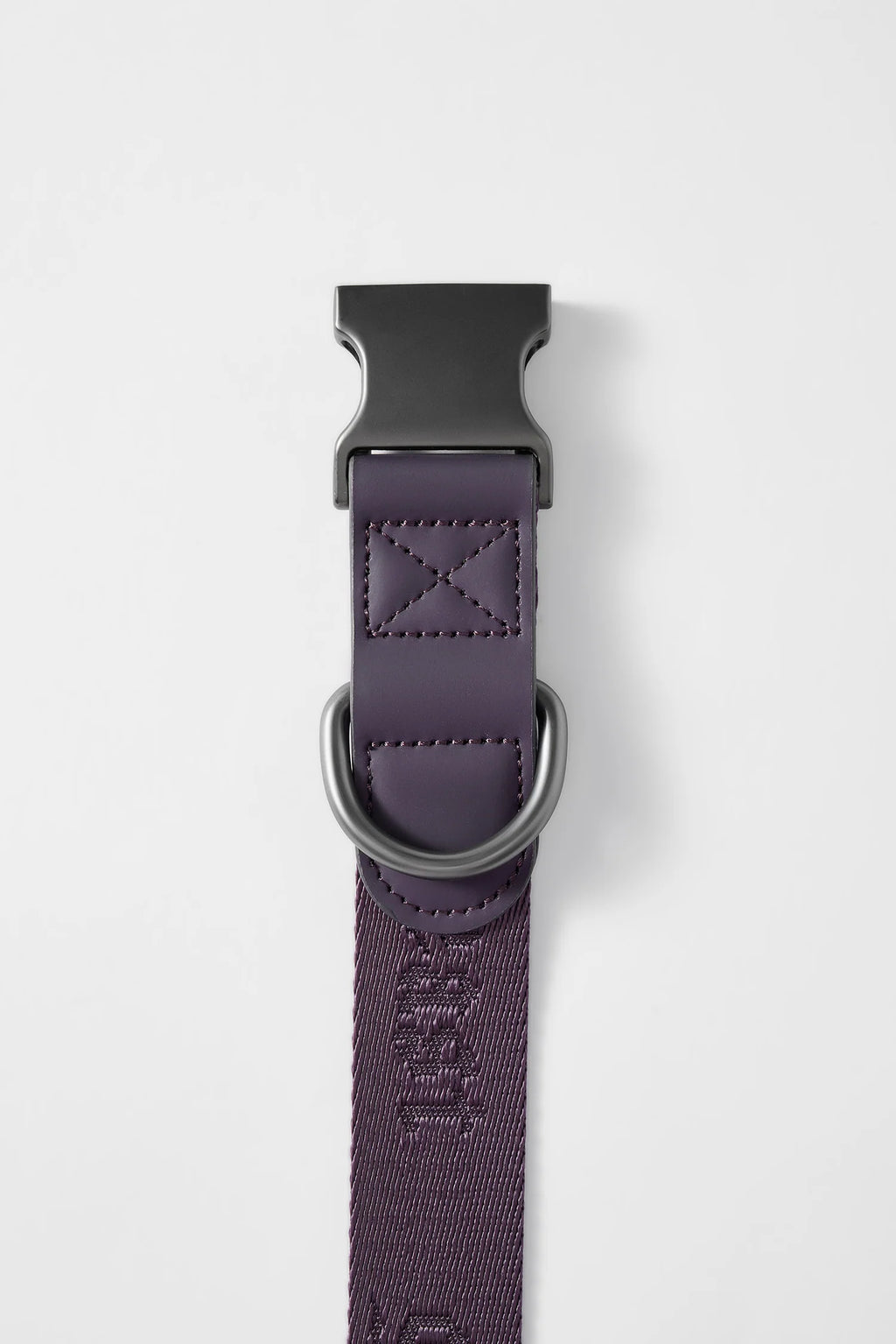 MIDNIGHT WALKER | COLLAR