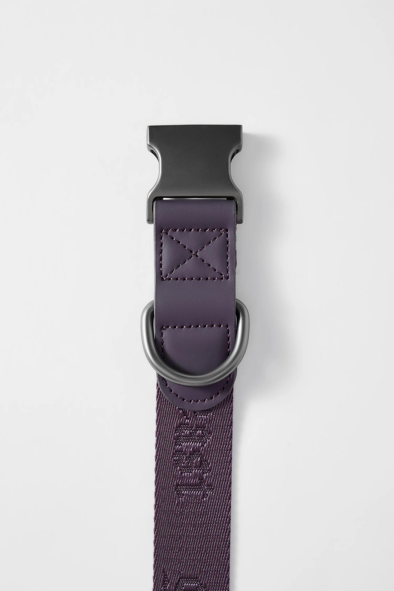 MIDNIGHT WALKER | COLLAR