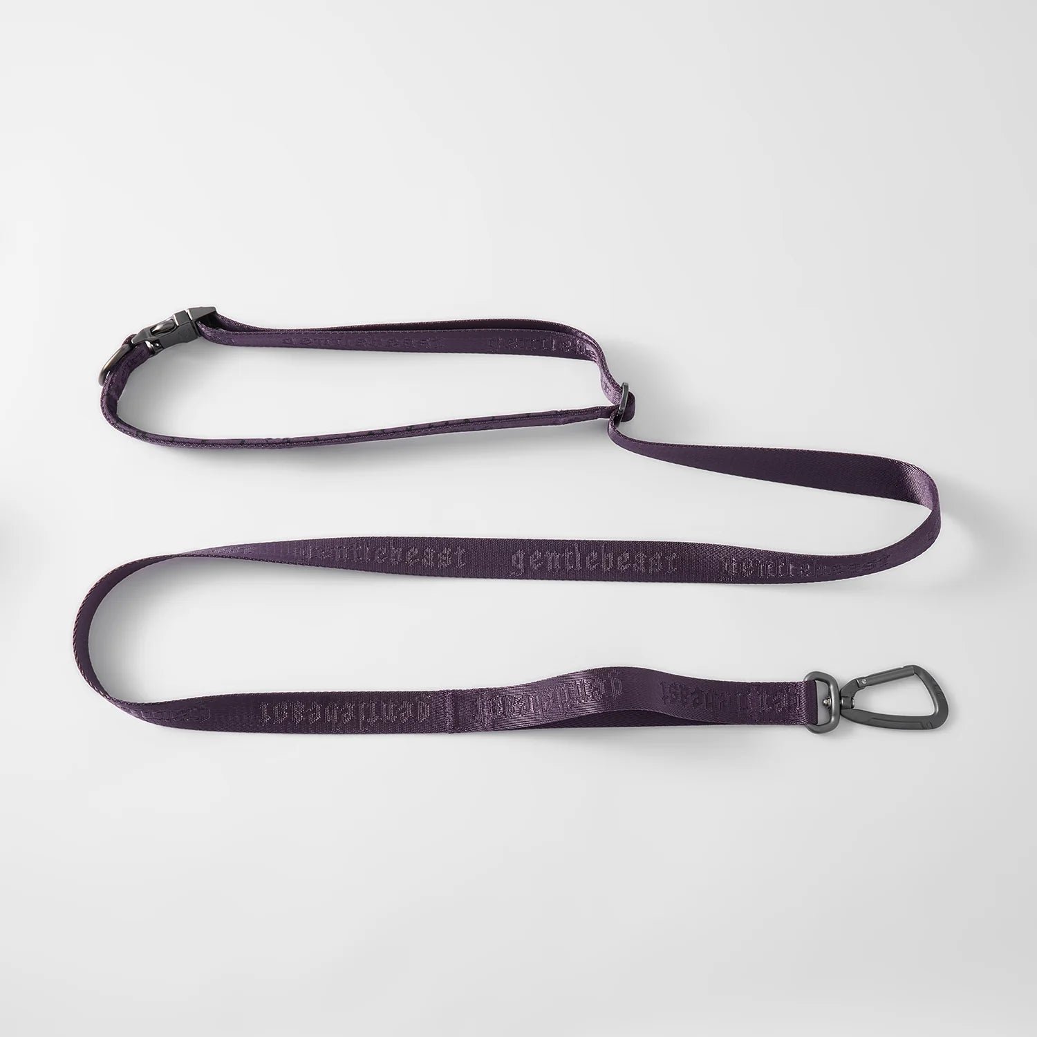 MIDNIGHT WALKER | FREEHAND LEASH