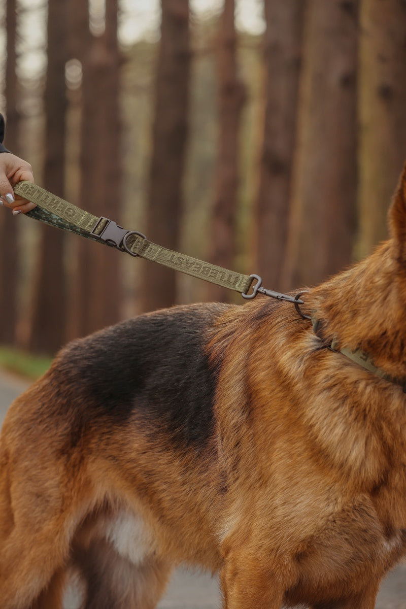 MIDNIGHT WALKER | SHORT LEASH