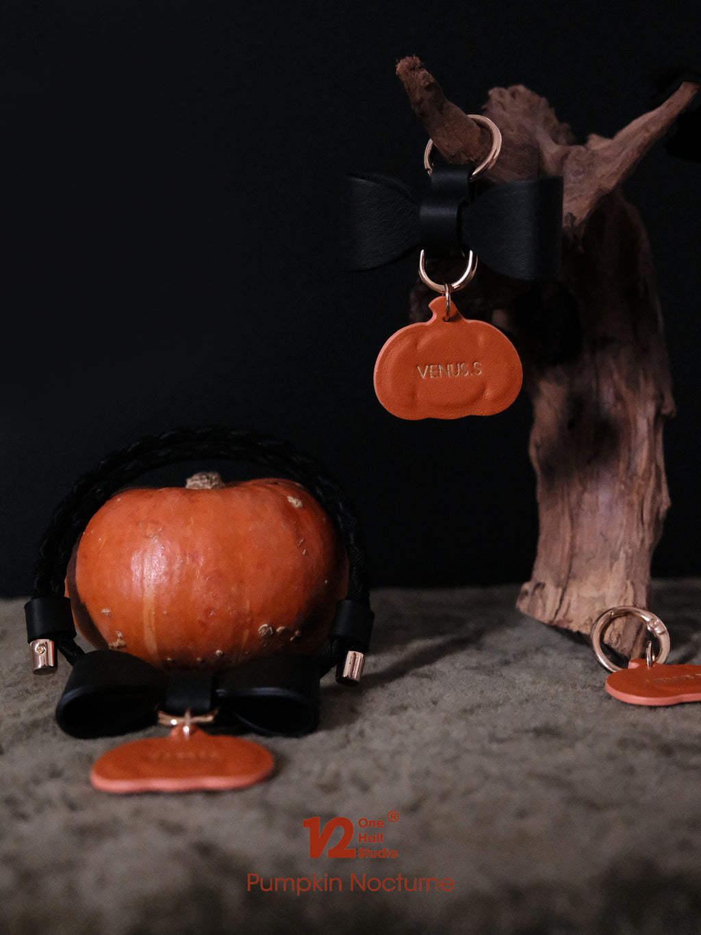 Pumpkin Nocturne | Personalised House Collar