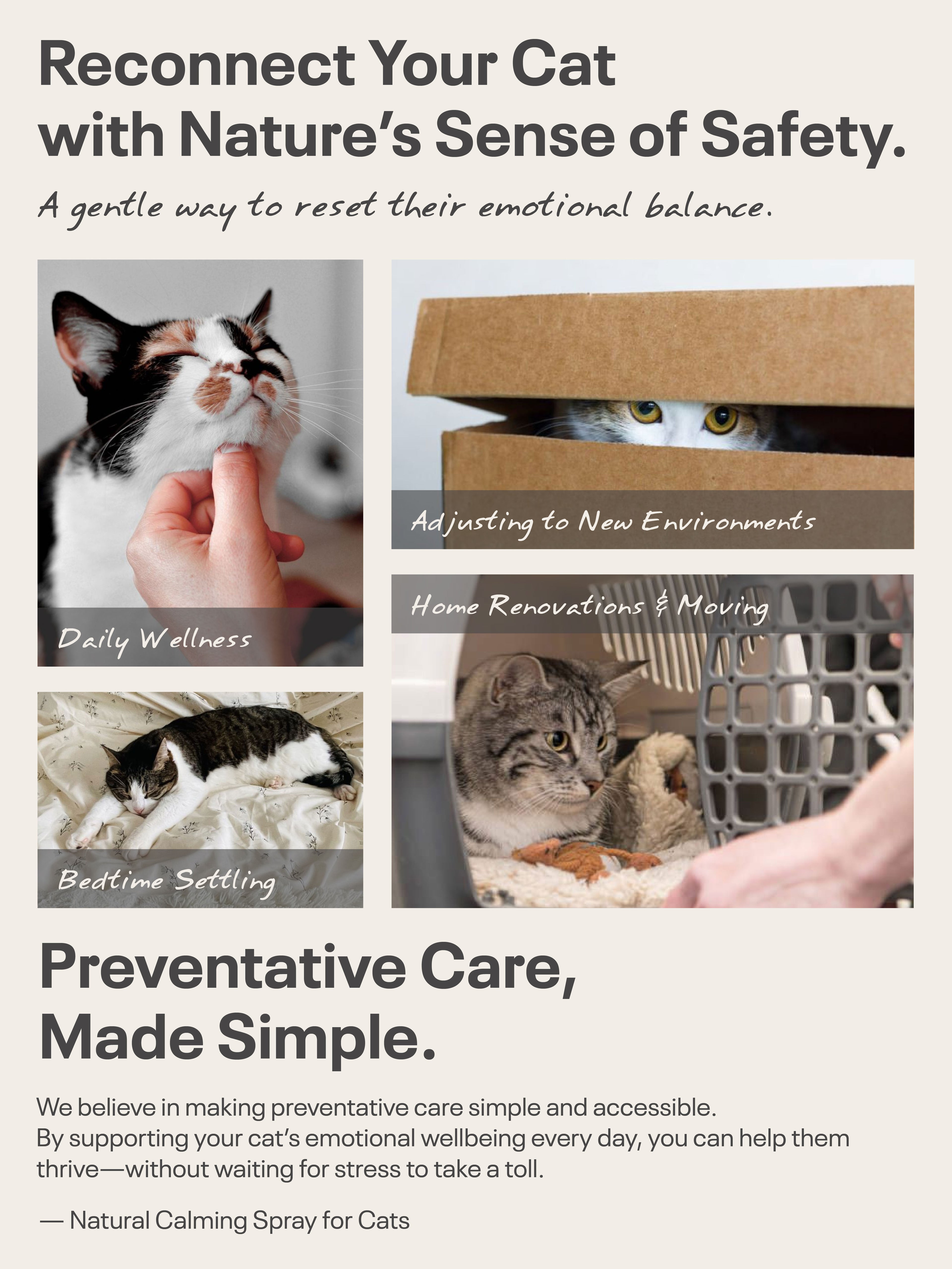 Natural Calming Spray for CATS