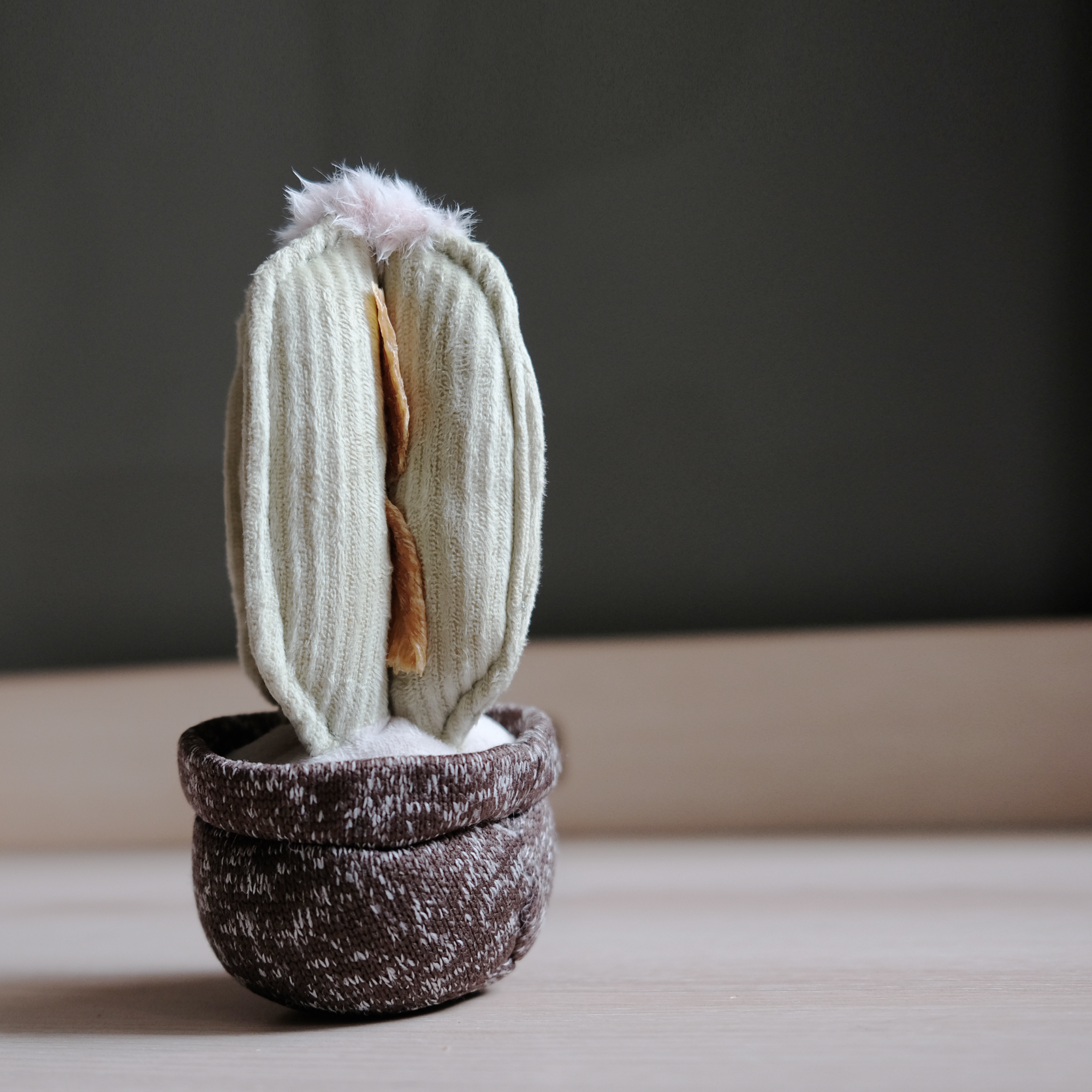 CACTUS // ENRICHMENT DOG TOY // Squeaky + DECO Toy