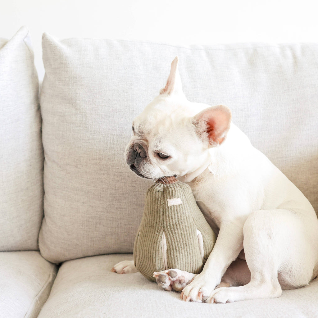 BUTTERNUT // ENRICHMENT DOG TOY // SNUFFLE
