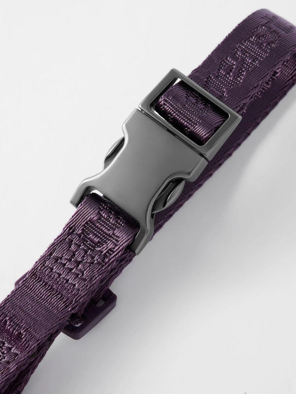 MIDNIGHT WALKER | HEAD COLLAR