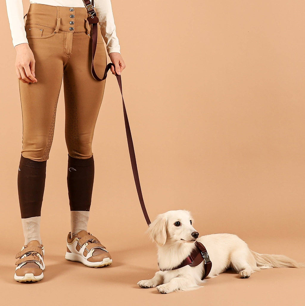 Saddle Hands-free Leash
