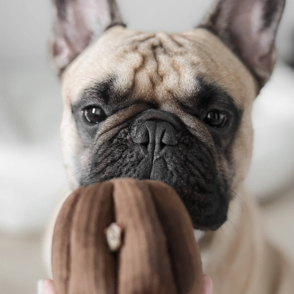 CANELE // ENRICHMENT DOG TOY // Squeaky + Snuffle