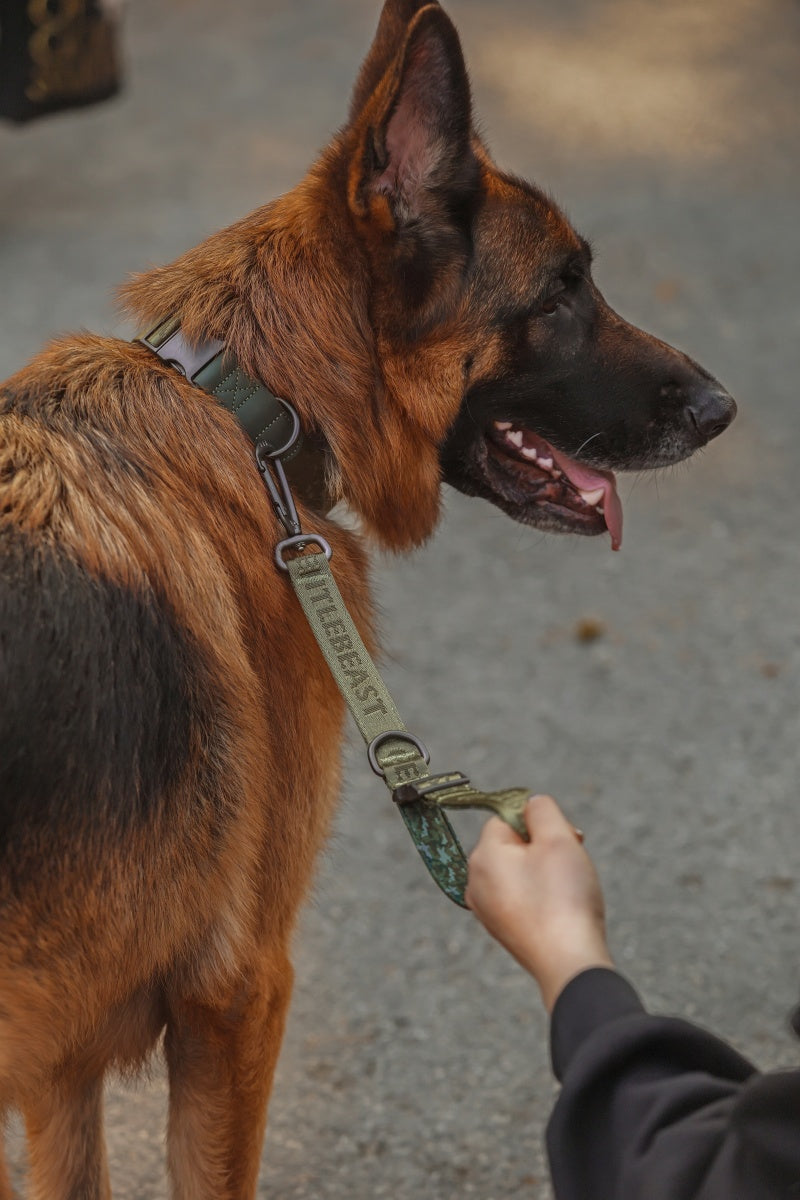 MIDNIGHT WALKER | SHORT LEASH