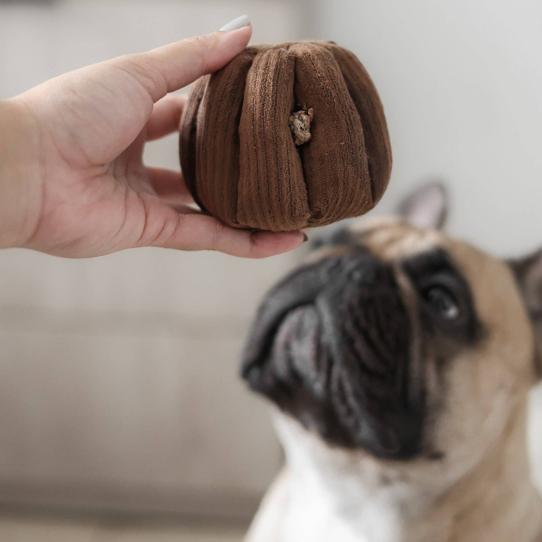 CANELE // ENRICHMENT DOG TOY // Squeaky + Snuffle
