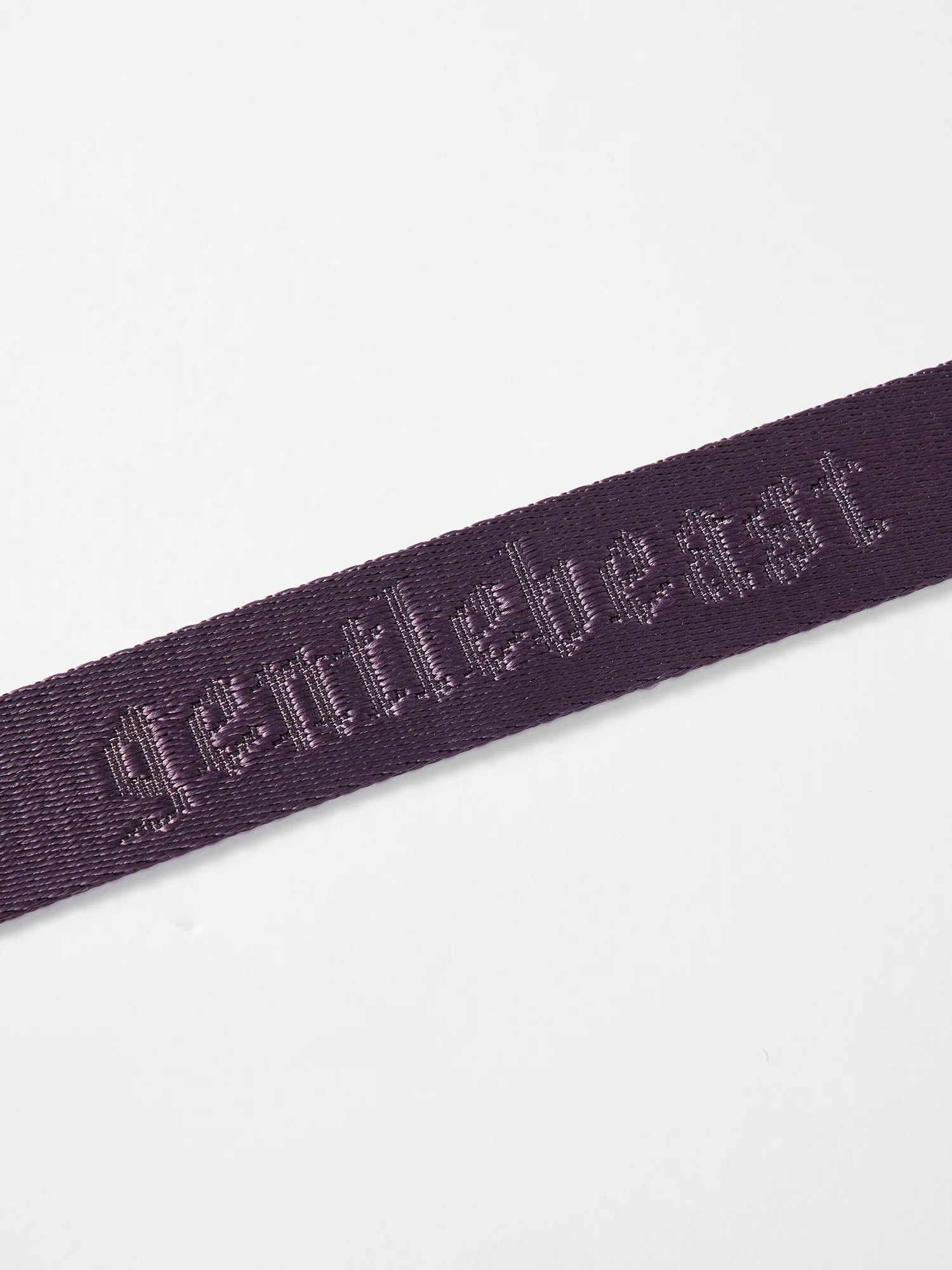 MIDNIGHT WALKER | COLLAR