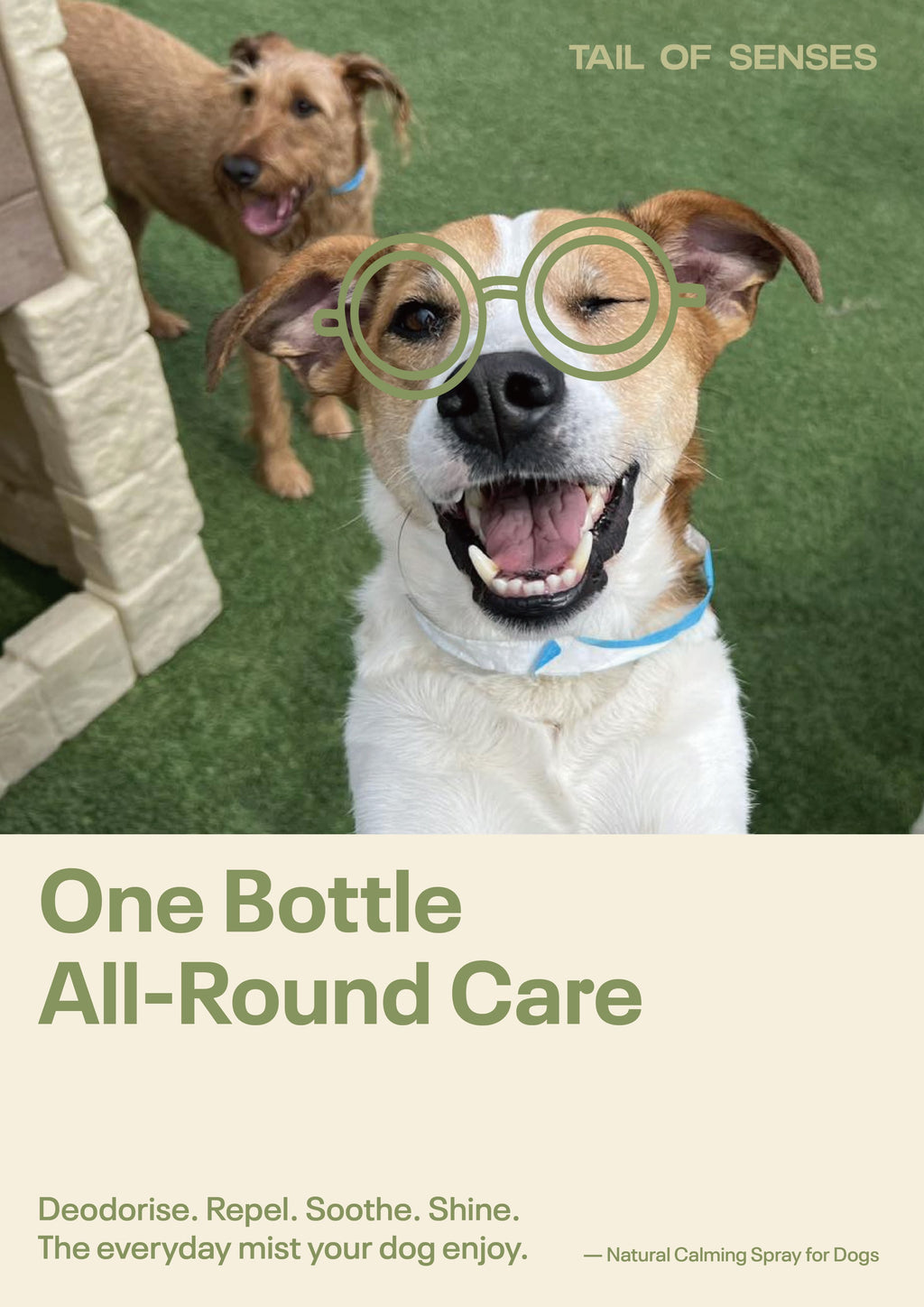 Natural Calming Spray for DOGS
